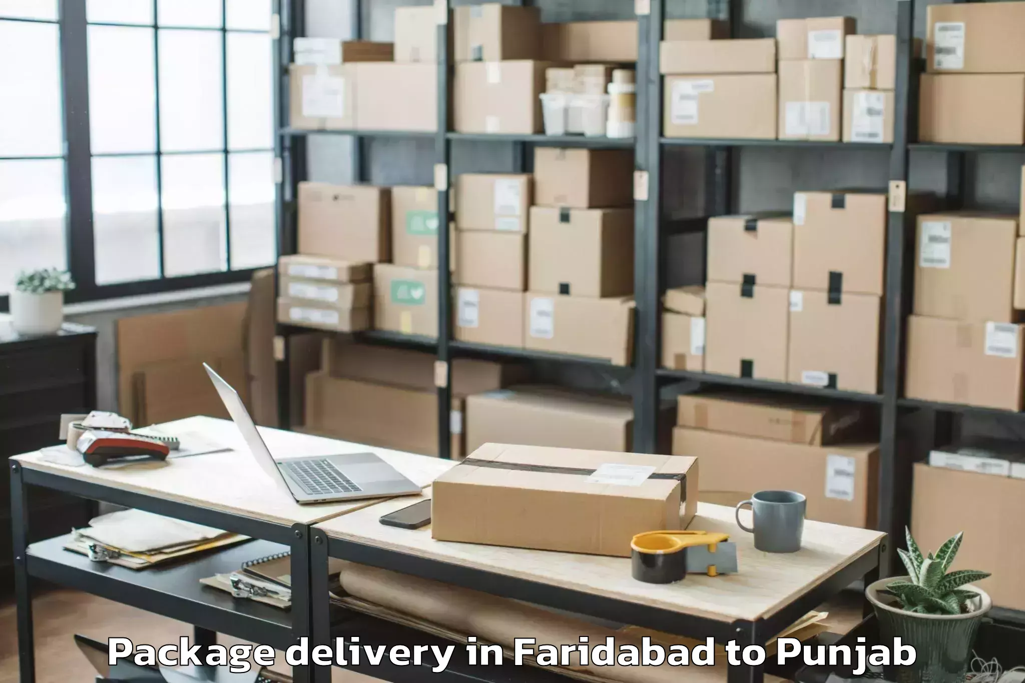 Trusted Faridabad to Sant Baba Bhag Singh Universit Package Delivery